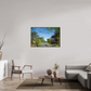 120 x 80 cm, Plexi et cadre américain Une pensée de Claude Monet