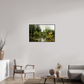90 x 60 cm, Plexi et cadre américain La mare de Giverny