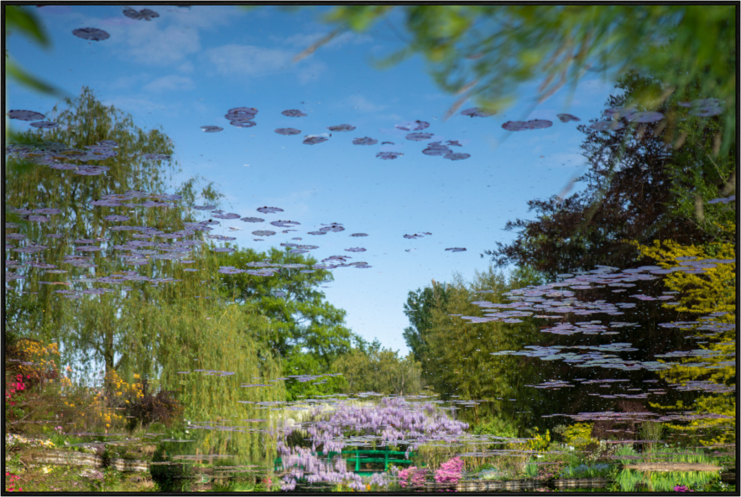 Main image Une pensée de Claude Monet
