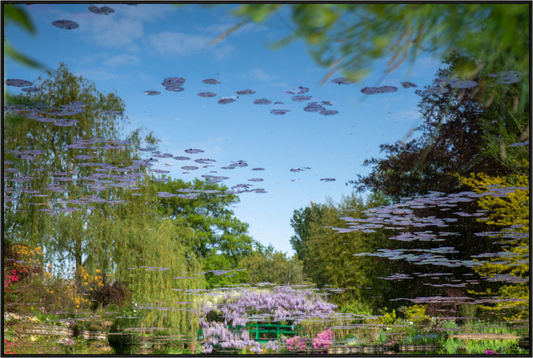 Main image Une pensée de Claude Monet